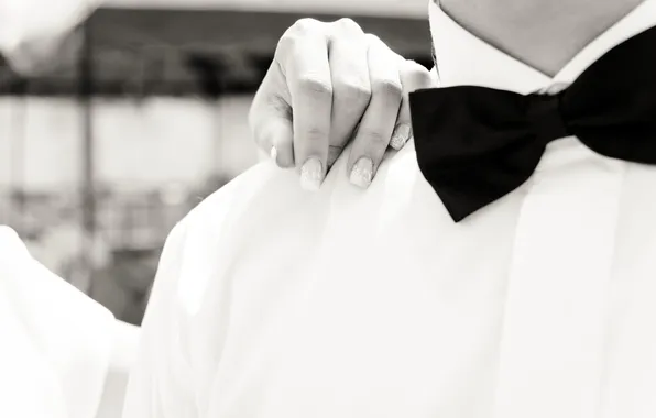 Picture butterfly, hand, shirt, black and white, the groom, manicure