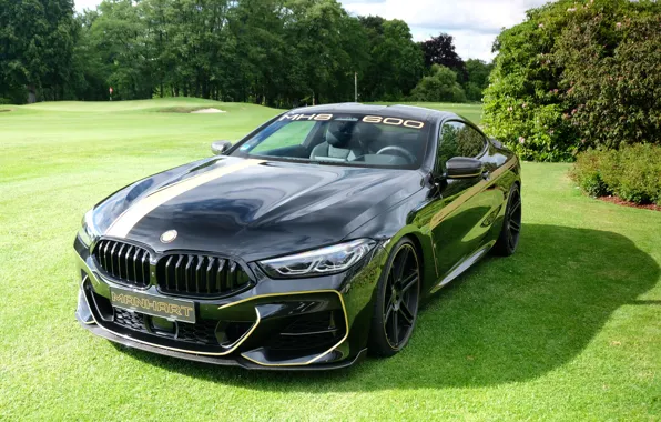BMW, Manhart, 8-Series, 2019, G15, M850i, XDrive, MH8 600