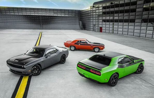 Green, Dodge, Challenger, red, Dodge, cars, grey, muscle cars