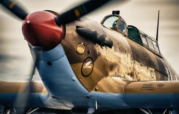 Picture fighter, war, Hawker Hurricane, interceptor, single, world, Second, times