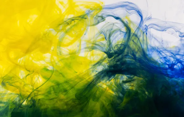 Blue, yellow, green, paint, color, divorce, texture, light background