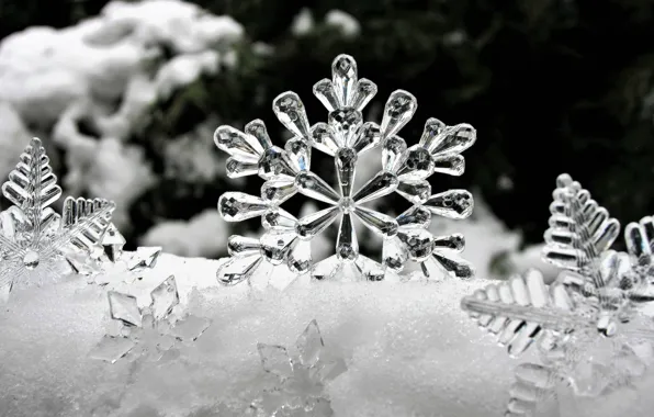 FROST, ICE, SNOW, WINTER, FORM, FIGURE, PATTERN, SNOWFLAKES