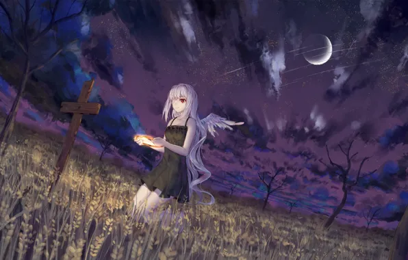 Night, crosses, angel, cemetery