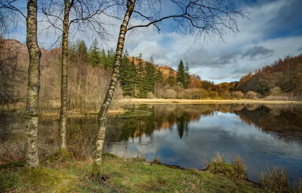 Picture autumn, nature, lake
