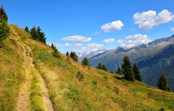 Forest, the sky, clouds, trees, landscape, mountains, nature, rocks