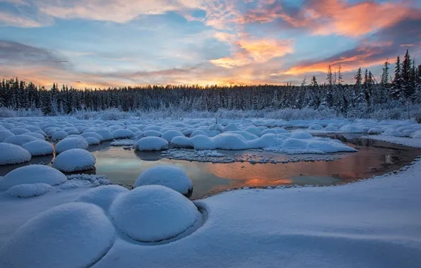Picture winter, stream, Canada, Yukon, McIntyre Creek