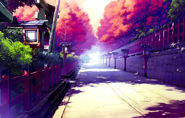 The sky, the sun, trees, street, the fence, home, shadow, art