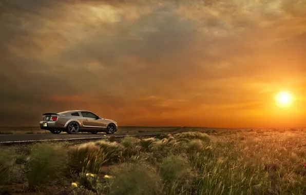Road, machine, Ford Mustang GT500