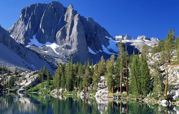 Forest, mountains, lake, CA, USA