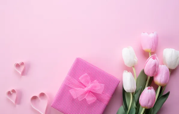 Picture background, gift, bouquet, tulips, pink, congratulations, Siam Pukkato