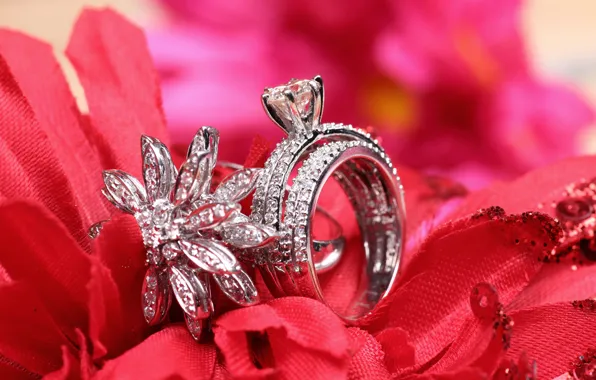 Ring, decoration, wedding