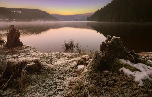 Frost, autumn, forest, grass, snow, lake, reflection, shore