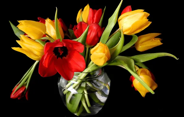 Picture flowers, spring, yellow, tulips, red, vase, black background, buds