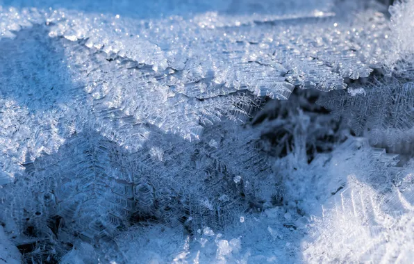Winter, snow, snowflakes, nature, ice, ice crystals