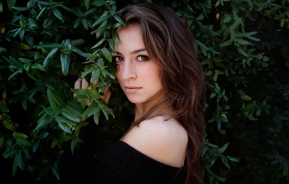 Leaves, girl, branches, brunette