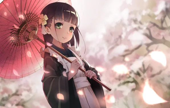 Picture spring, umbrella, petals, Sakura, girl, kimono, apron, bangs