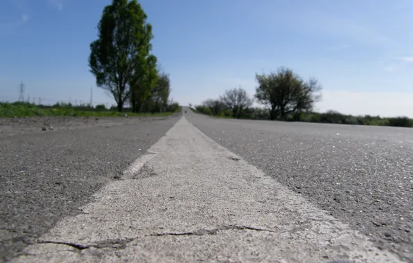 The sky, Road, Trees