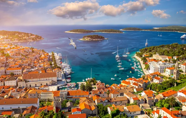 Sea, home, yachts, Seagull, Croatia, Hvar