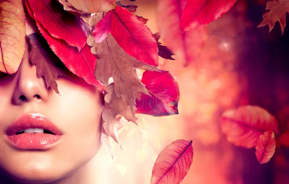Picture leaves, girl, face