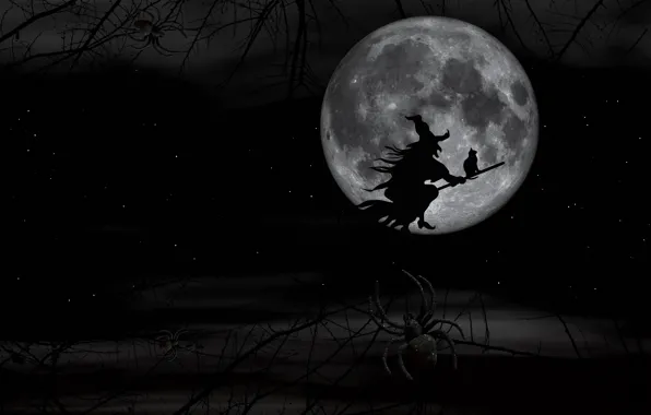 Night, Spider, The moon, Witch, Halloween, Halloween, Flight, Broom