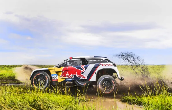 Sport, Speed, Race, Dirt, Peugeot, Lights, Red Bull, Rally
