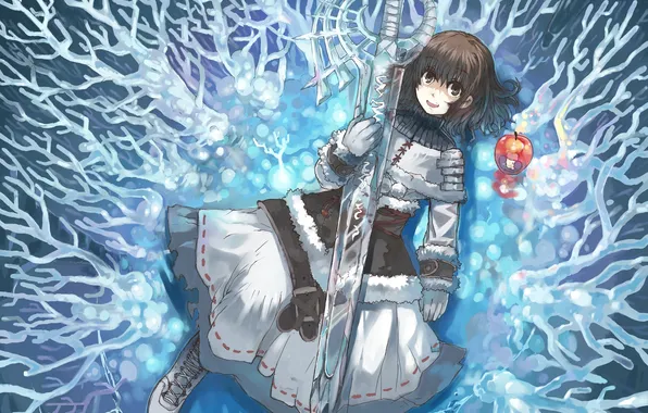 Picture ice, winter, girl, weapons, Apple, sword, anime, art