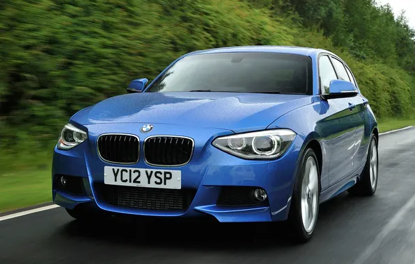 Blue, BMW, BMW, the front, Sports Package, 125d
