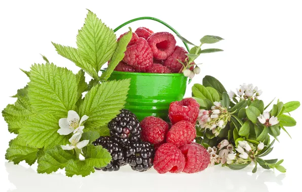 Picture flowers, berries, raspberry, BlackBerry, bucket