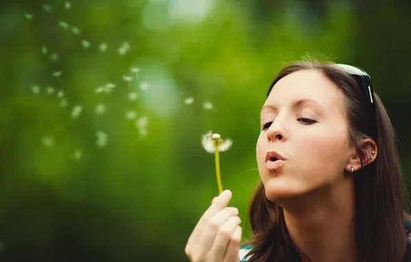 Picture girl, dandelion, girl blowing on a dandelion