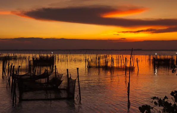 Sunset, network, shore, twilight