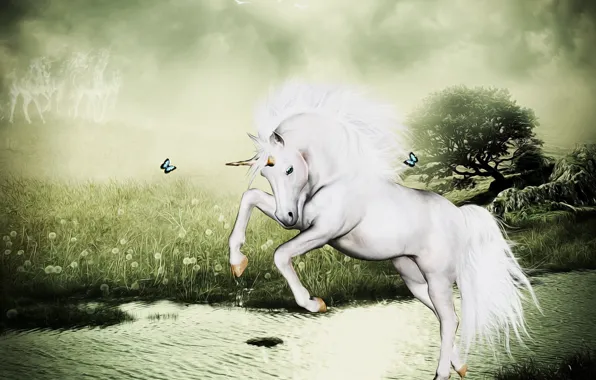 Lake, fantasy, unicorn, photoart