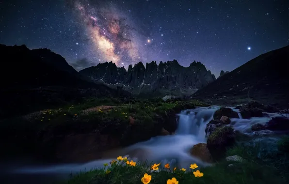 Stars, flowers, mountains, night, stones, rocks, shore, waterfall