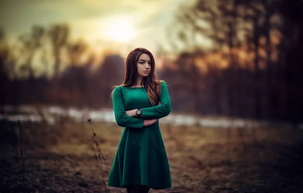 Girl, the evening, makeup, dress, hairstyle, brown hair, beautiful, green