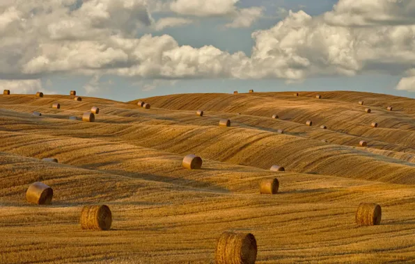 Picture field, autumn, hills, Italy, Tuscany