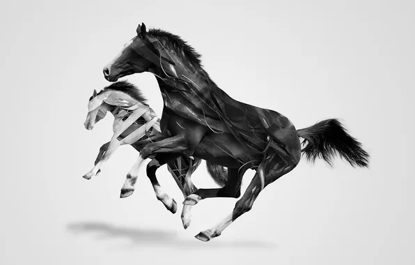 White, background, Wallpaper, graphics, minimalism, horse, art, picture