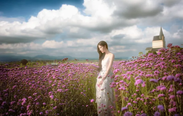 Picture field, summer, girl, flowers, Asian