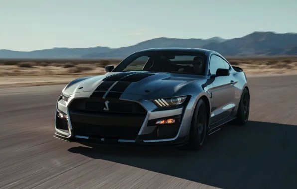 Speed, Mustang, Ford, Shelby, GT500, 2019, gray-silver