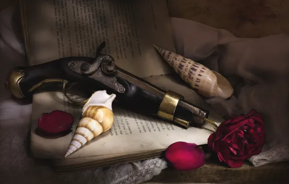 Gun, rose, texture, petals, shell, book, still life