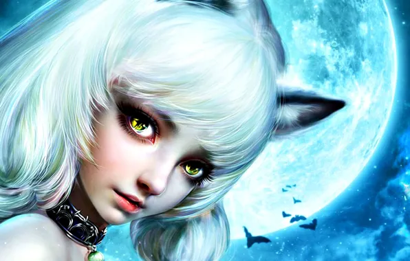 Look, night, face, eyelashes, collar, the full moon, ears, white hair