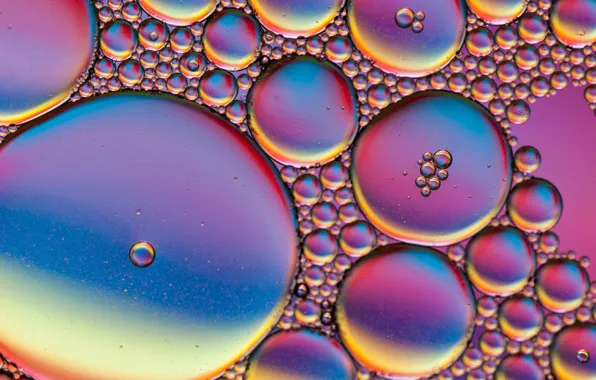 Bubbles, color, liquid, the air, the volume
