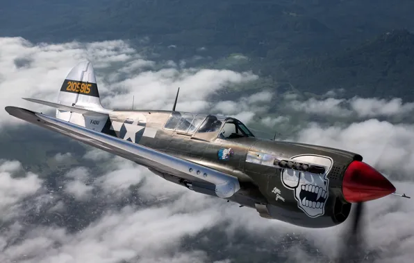 Skull, the plane, flies, Curtiss P-40