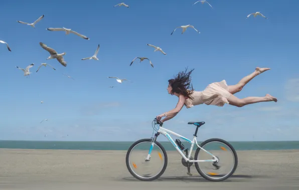 Picture girl, bike, shore, seagulls, speed