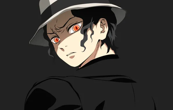 Picture hat, the demon, Demon Slayer Kimetsu no Yaiba, The Blade Cleaves Demons