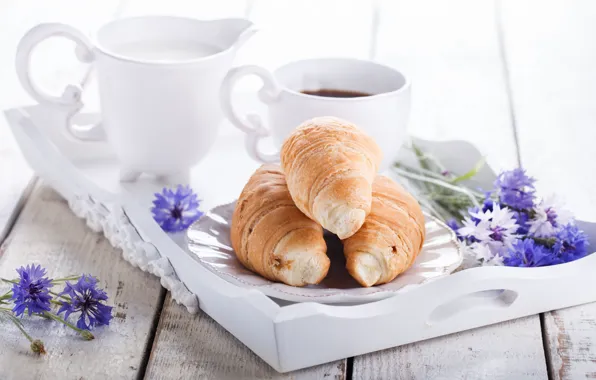 Flowers, coffee, Breakfast, milk, tray, croissants, Stolyevych Yulia