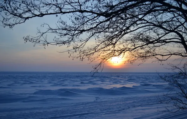 Picture ice, winter, snow, sunset, the evening, Bay, the snow