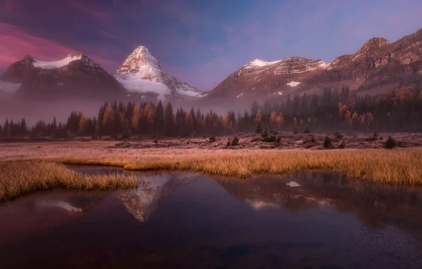 Forest, mountains, lake