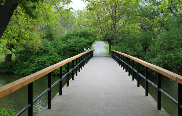 Picture Road, Bridge, Trees, Pond, Summer, Bridge, Summer, Road