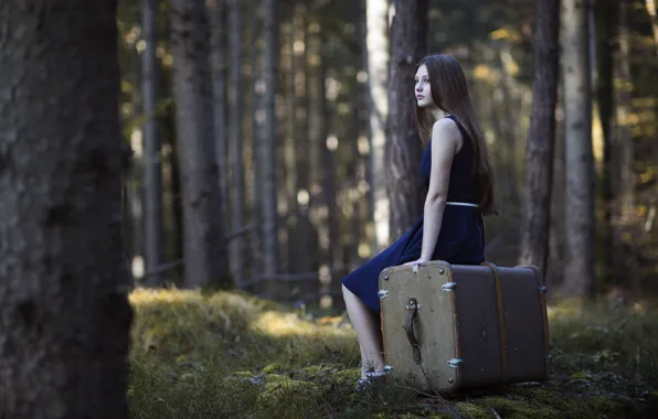 Picture forest, girl, suitcase