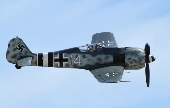 Picture flight, fighter, Messerschmitt, FW-190