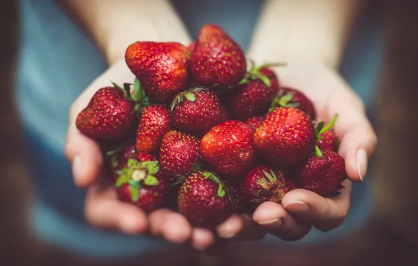 Berries, strawberry, palm